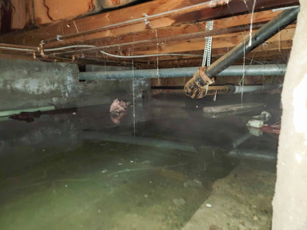 Best Water damage contractors near me  in Menifee, CA