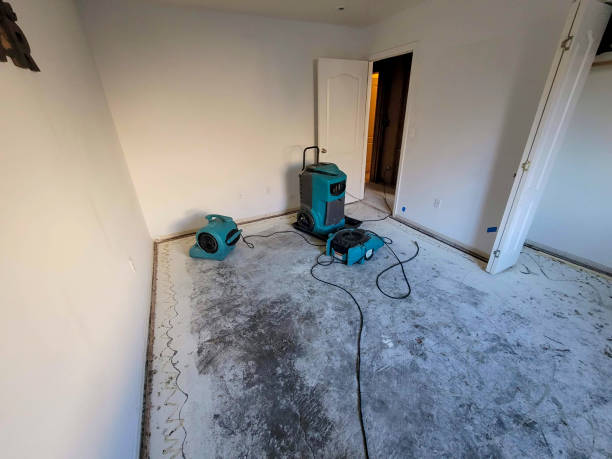 Best Flood damage cleanup  in Menifee, CA