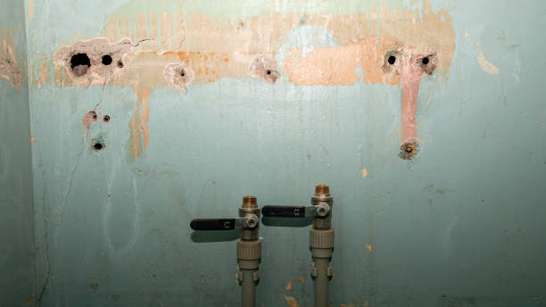 Best Water damage restoration near me  in Menifee, CA