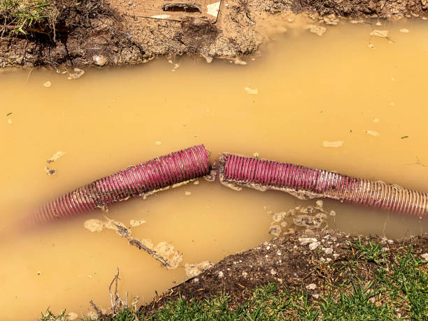 Best Basement water damage restoration  in Menifee, CA