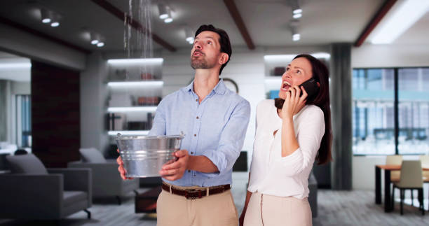 Best Flooded house restoration  in Menifee, CA